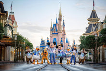 Load image into Gallery viewer, 89331 - $500 to Disney
